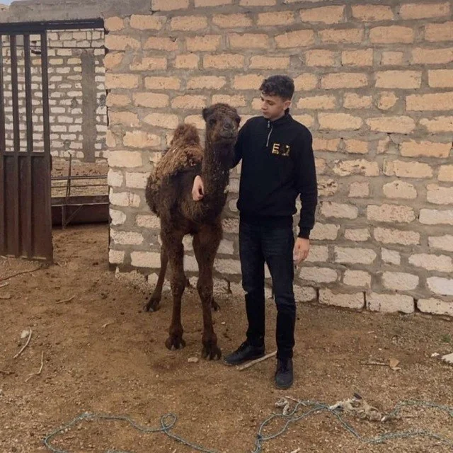 إياد