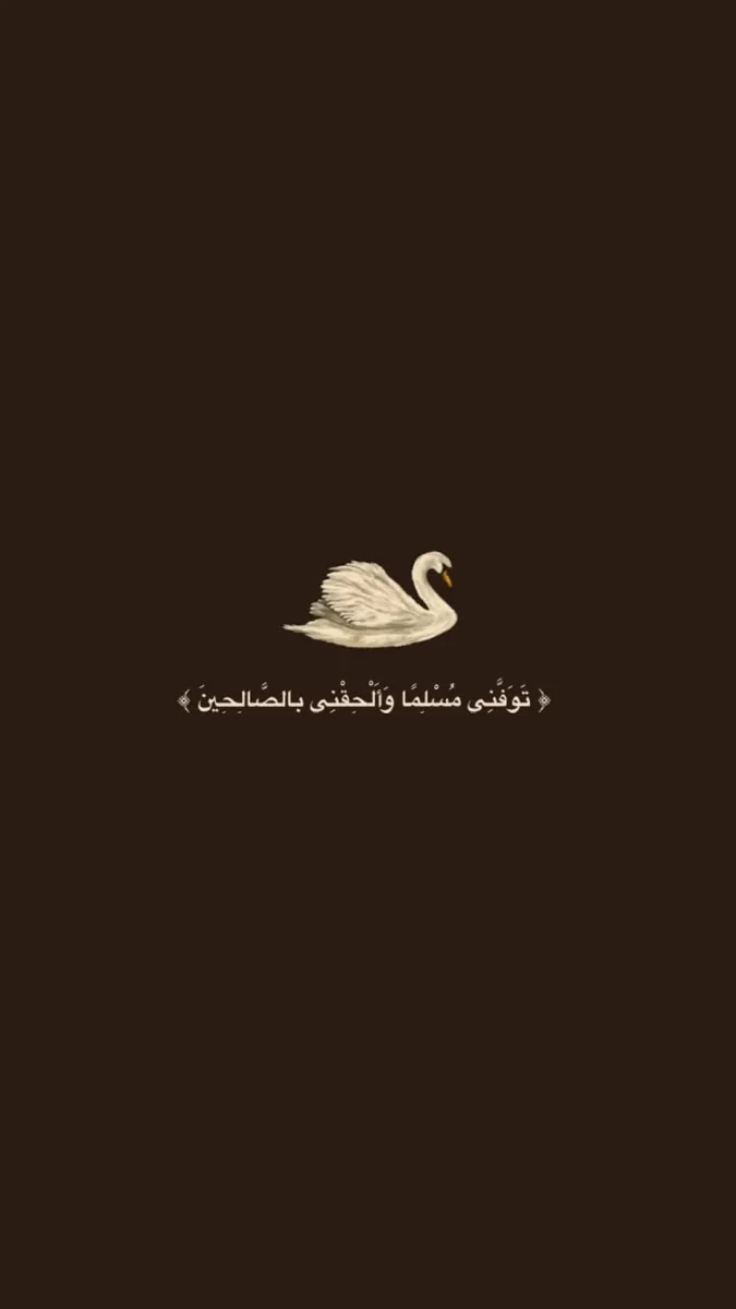it'sfatima