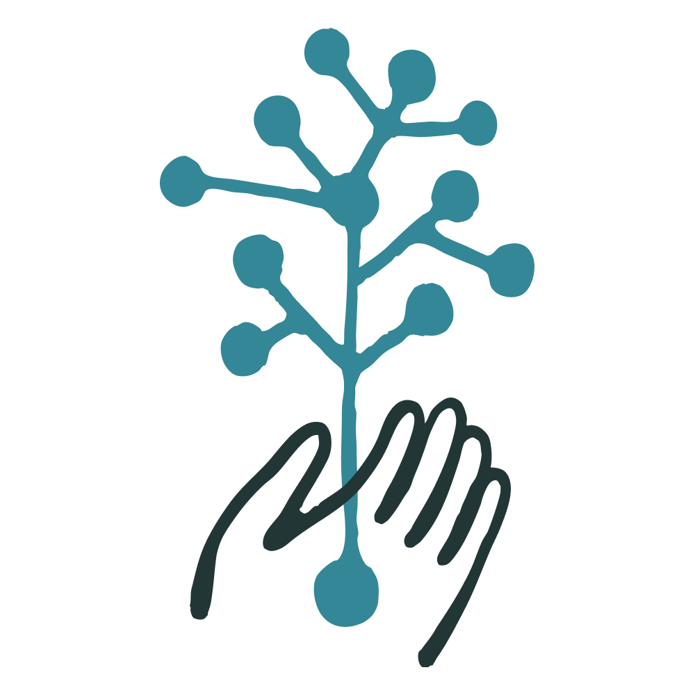 التربية الإسلامية